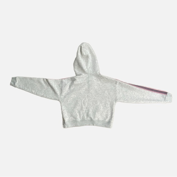 TNA The Iconic Hoodie Cropped Striped Sleeves Gray Size XXS Boxy Oversized - Picture 7 of 13